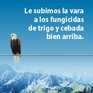 Agricultura 2