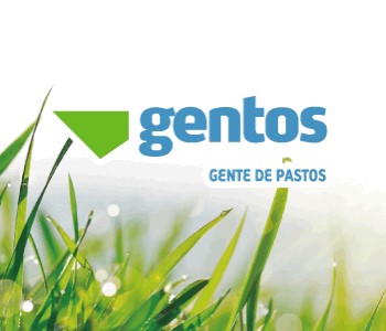 Banner Gentos