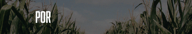 Banner Superior 2