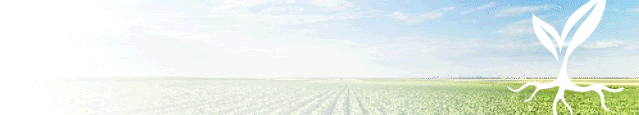 Renueva