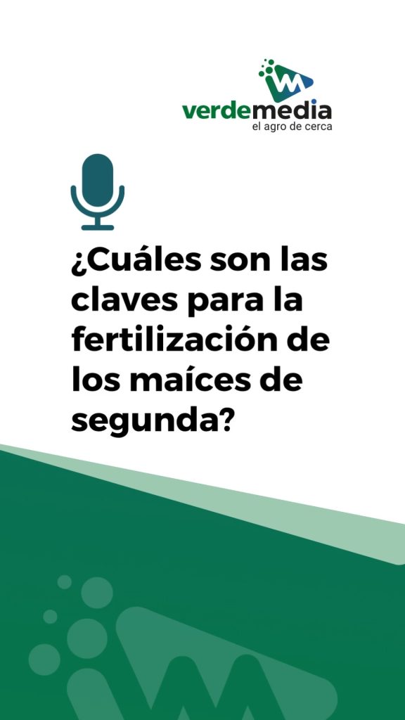 ¿Cuáles son las claves para la fertilización de los maíces de segunda?
