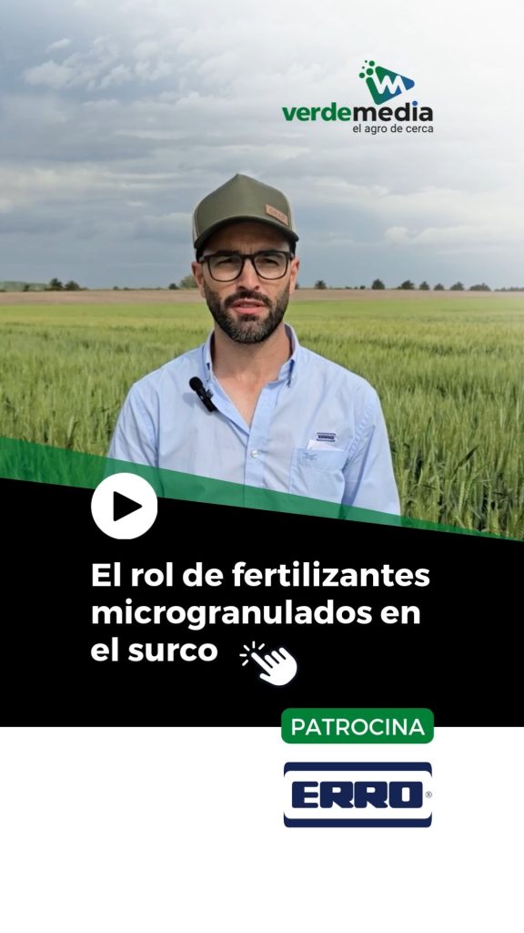 El rol de fertilizantes microgranulados en el surco. Marco Cristino (@barracaerro)