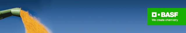 BASF