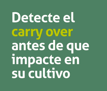 BANNER CUADRADO HOME 1